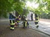 Abnahme 2008